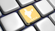 Keyboard (detail) with India map key