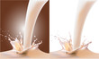 the milk. realistic vector illustration the milk. realistic vector illustration