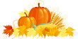 Autumn Harvest. Vector vegetables isolated on white background.