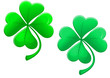 Green lucky clover