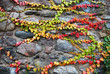 An der Mauer