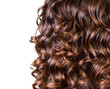 Curly Brown Hair isolated on White