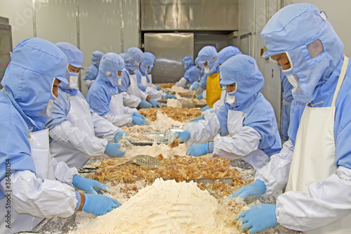 Photo: workers in food processing production line workers in food processing production line