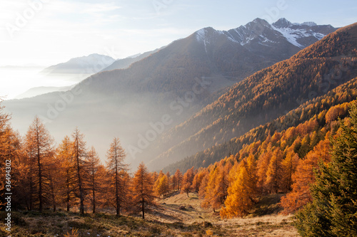 Photo: vallata alpina in autunno vallata alpina in autunno