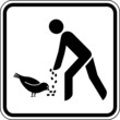 Tauben Vögel füttern Hand Vogel Schild Zeichen Symbol