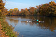 Rudern auf der Donau
