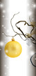 Ambiance de Noël