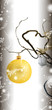 Ambiance de Noël
