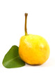 pear isolated pear isolated