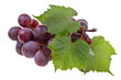 Red grape Red grape