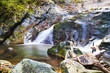 cascata in autunno