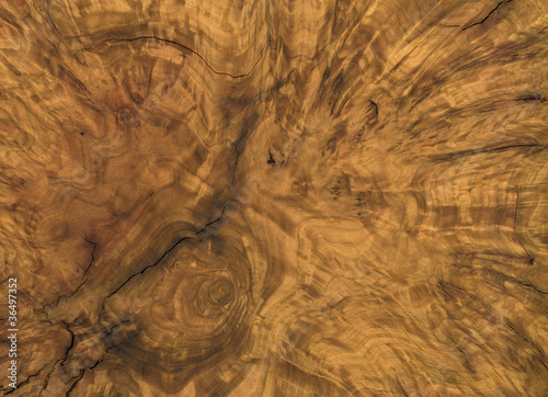 Photo: brown burl wood detail brown burl wood detail
