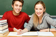 Students doing homework