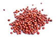 azuki beans isolate on white background azuki beans isolate on white background