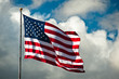 Flag in the Wind