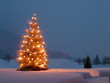 Weihnachtsbaum im Garten bei Dämmerung