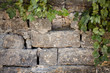 wall with leaves