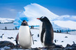 Two penguins dreaming