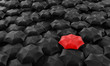 Ilustração: Umbrellas Umbrellas