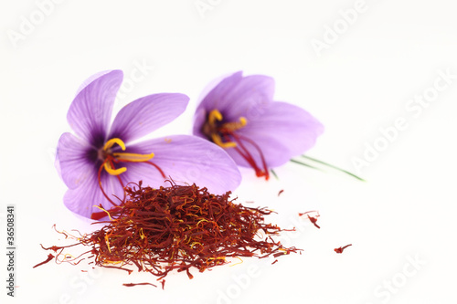 Photo: Dried saffron spice and Saffron flowers Dried saffron spice and Saffron flowers