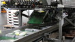 Fliessband Lebensmittelindustrie/ Landwirtschaft