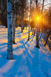 Sunset in winter park Sunset in winter park