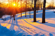 Sunset in winter park Sunset in winter park