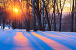 Sunset in winter park Sunset in winter park