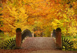 Autumn bridge