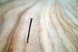 nagel im holz nagel im holz
