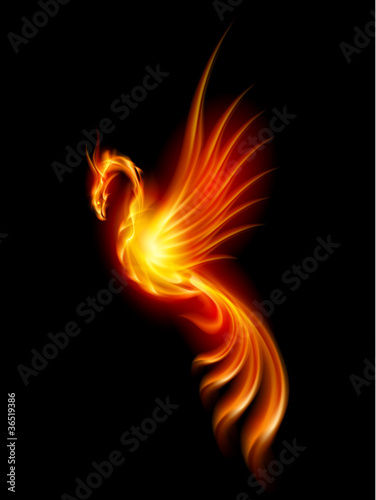 Vector: Burning phoenix Burning phoenix