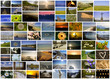 Collage Naturbilder