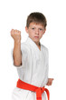 Photo: Confident boy in kimono Confident boy in kimono