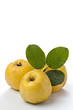Fresh yellow quinces