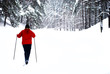 Skiing in the snowfall Skiing in the snowfall