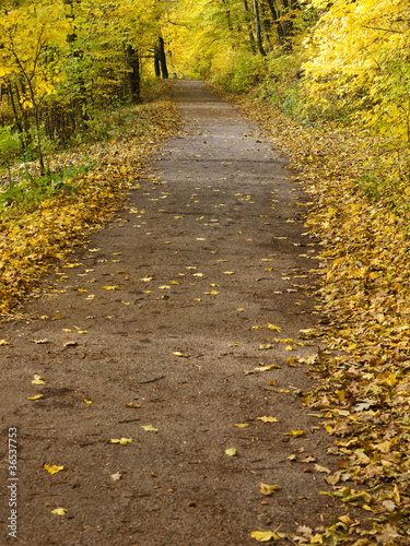 Photo: Colorful autumn road Colorful autumn road