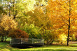 Autumn in the Park Autumn in the Park