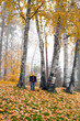 Boy looks up at trees.