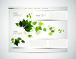 eco brochure with branch of fresh green leaves