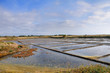 marais salant