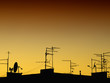 antennas