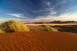 Photo: Dünen in Wolwedans Dünen in Wolwedans
