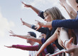 Fans waving from behind barrier