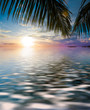 Overhanging Branch Exotic Outdoor Overhanging Branch Exotic Outdoor