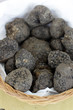 Tartufo nero