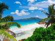 Dream Palms Landscape