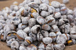 chestnuts