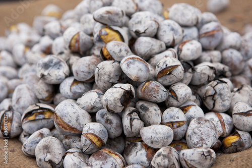 Photo: chestnuts chestnuts