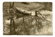 Foto vintage