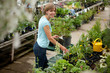 Attractive Woman in Garden Center Attractive Woman in Garden Center